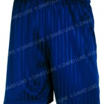 Navy_Shadow_Shorts