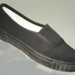 Slip-on_Pump