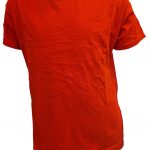 courthouse t-shirt